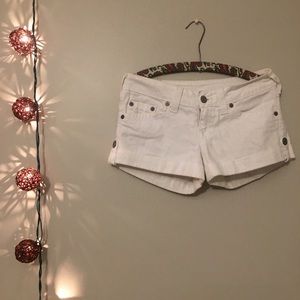 Great white shorts